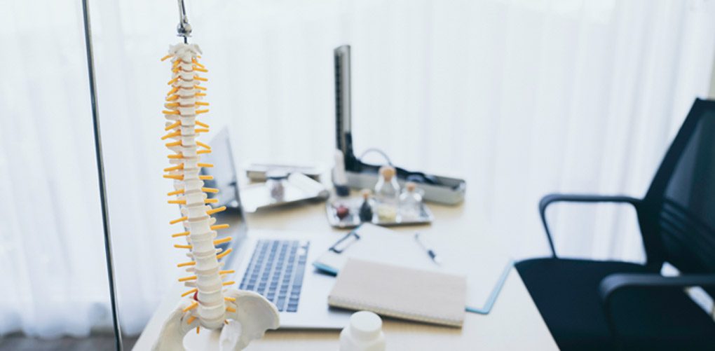 Model-of-the-spine-in-the-office-of-a-Spanish-speaking-chiropractor-in-San-Antonio